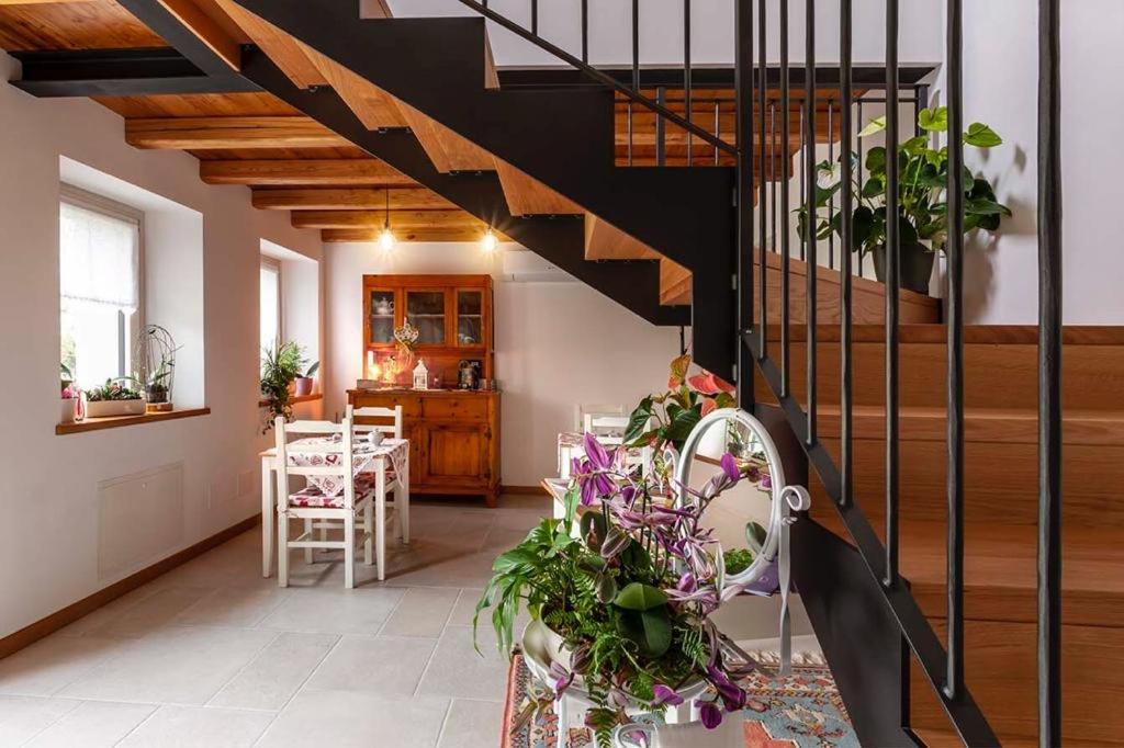 B&b La Casa di Elsa photo