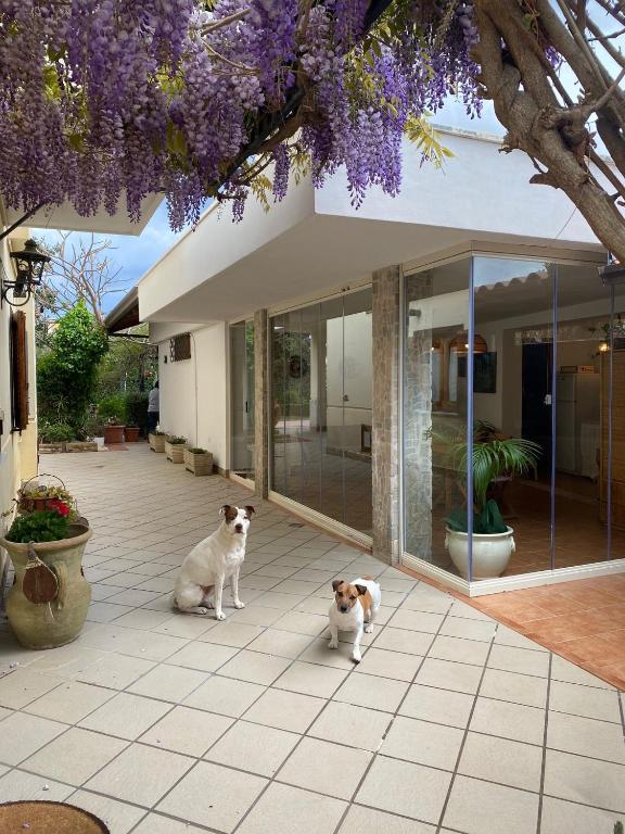 La depandance di Villa Rosa locazioni brevi - 2