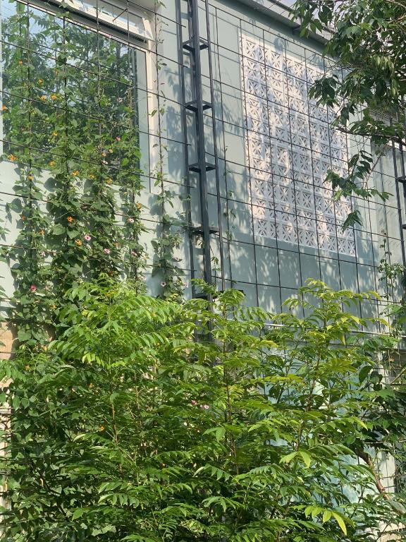 Surrounding environment