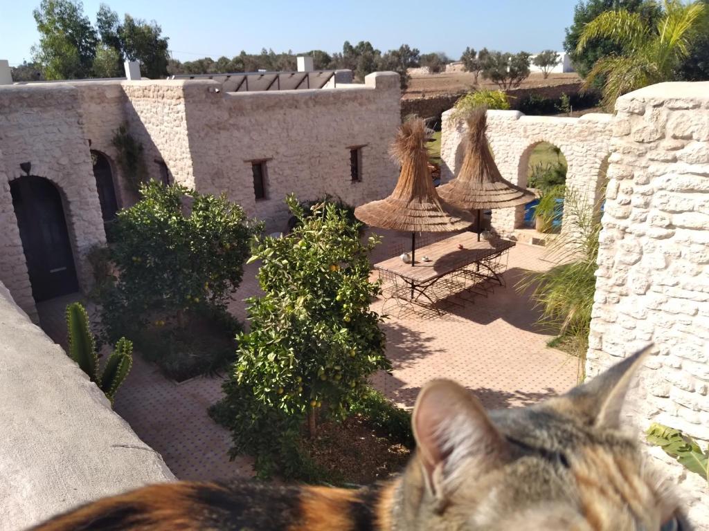 Riad Mamy Wababi photo
