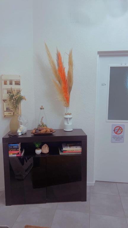 Home sweet home in Pau - 4