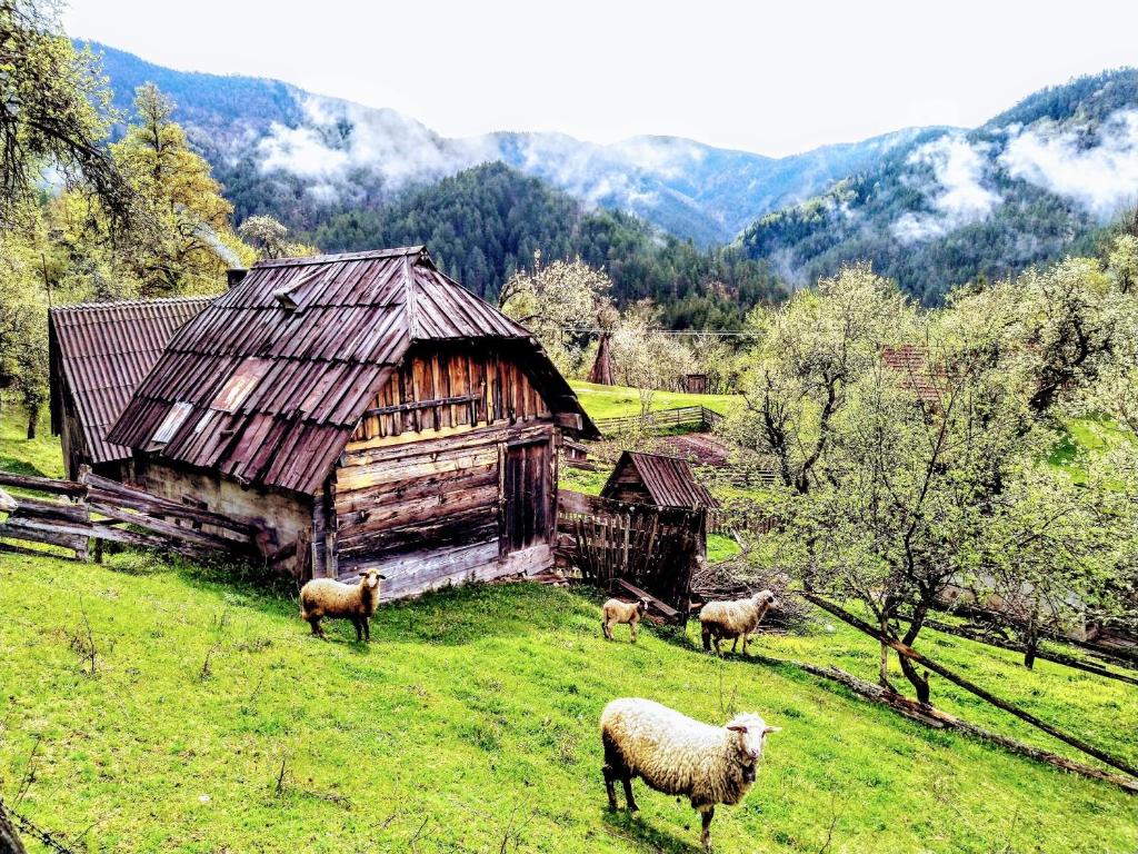 Konaci Gradina - 2