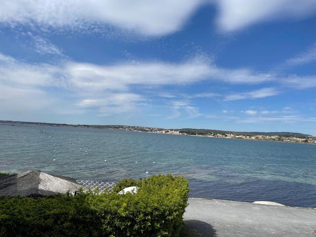Appartement cosy avec balcon, animaux admis, parking - FR-1-503-172 - 2