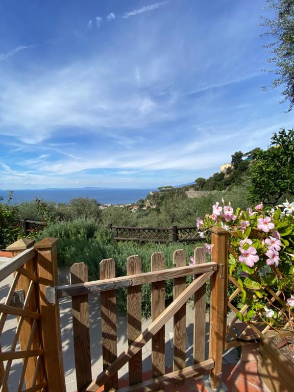 Olive - Cottage moderno tra gli ulivi di Sorrento - 3