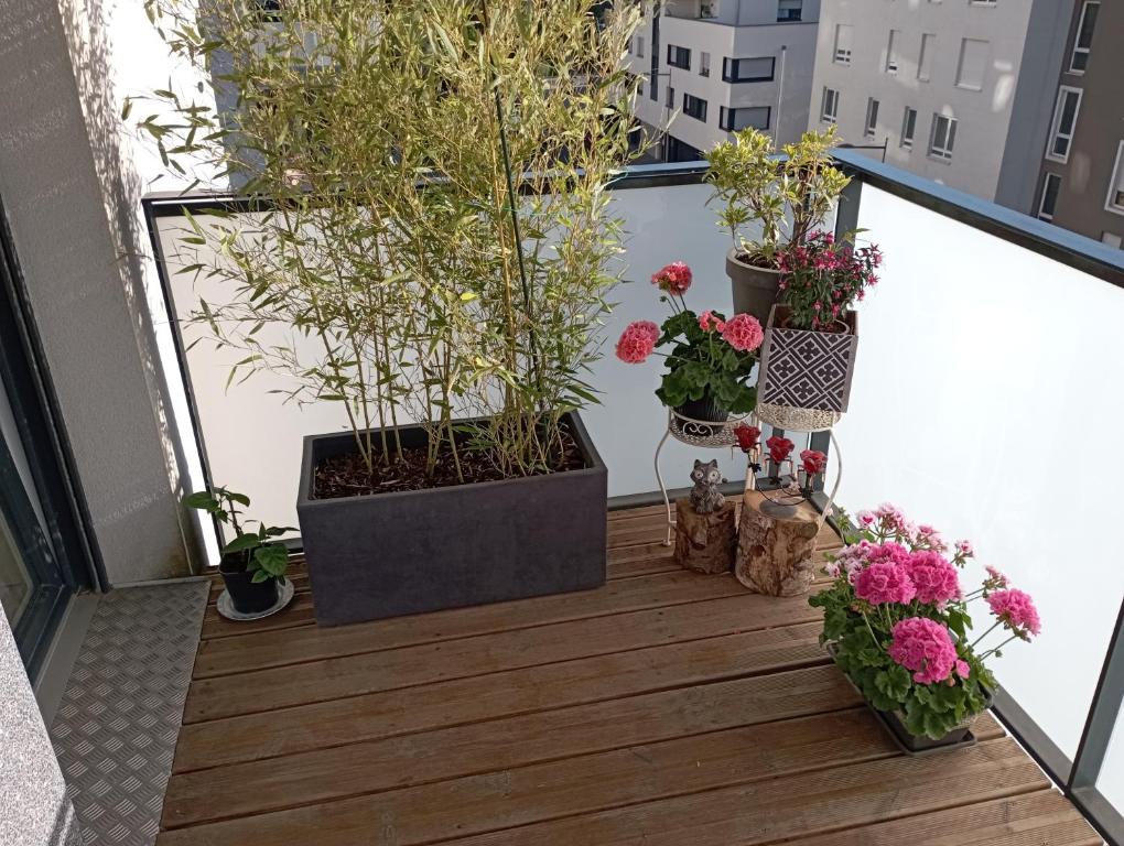 Chambre nature chez l'habitant - 4