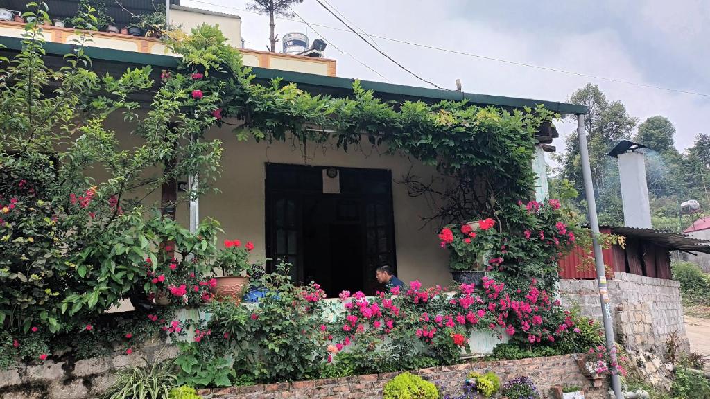 You hour homestay