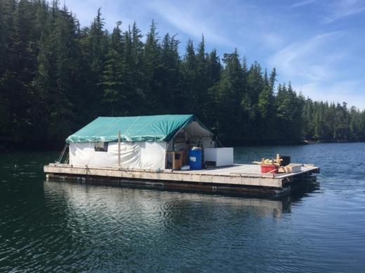 Six Mile River Resort photo
