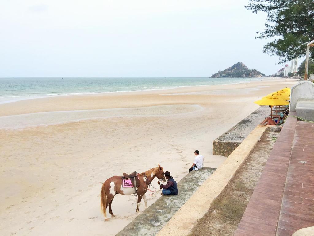 My Resort Hua Hin F403 photo