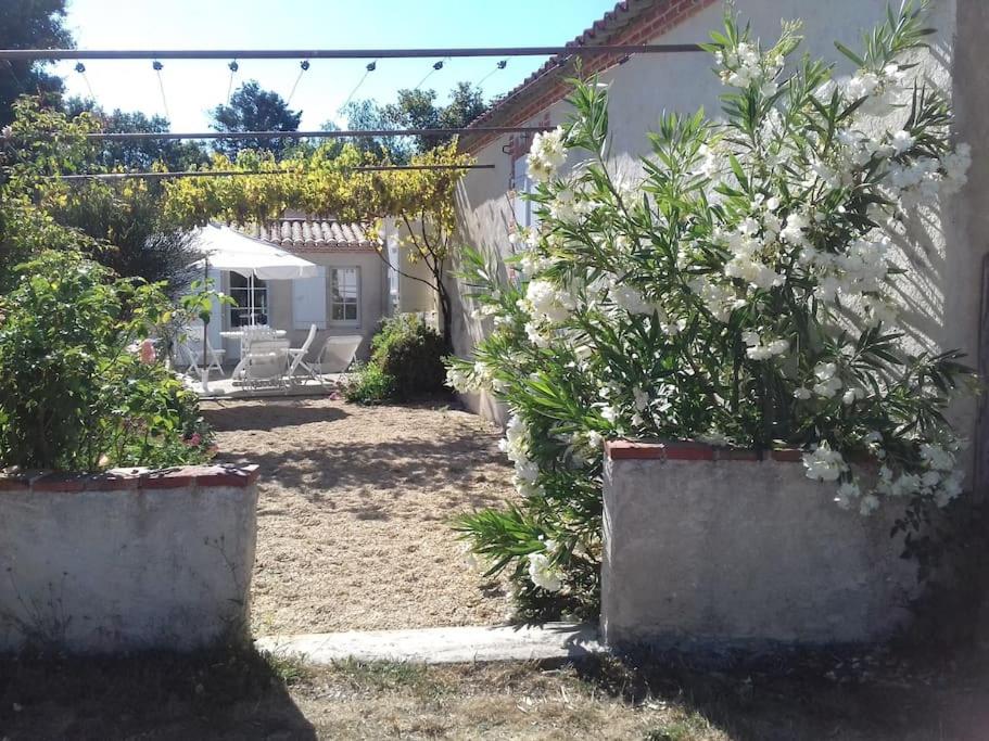 Charme de l’ancien à 6km de Bretignolles sur mer