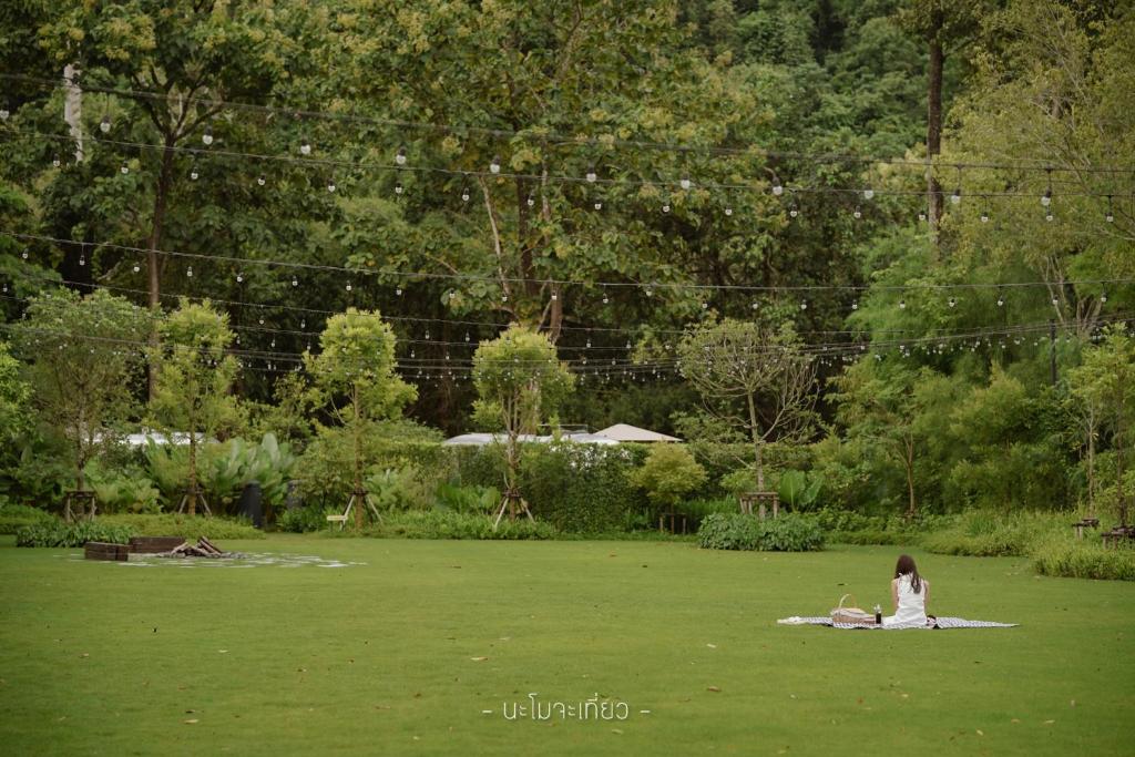 ทัศนียภาพ