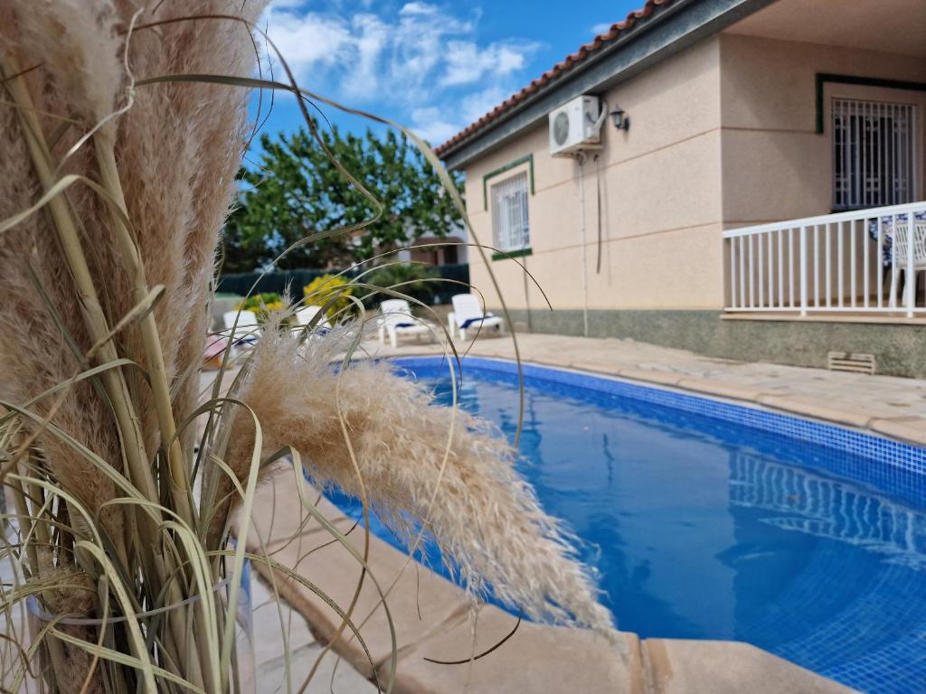 Riumar "Angeles", 210m to beach, private pool, On-Site-Service, dog beach - 1