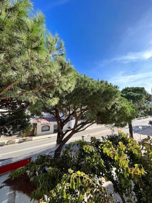 Joli studio Calvi 50m plage - 2