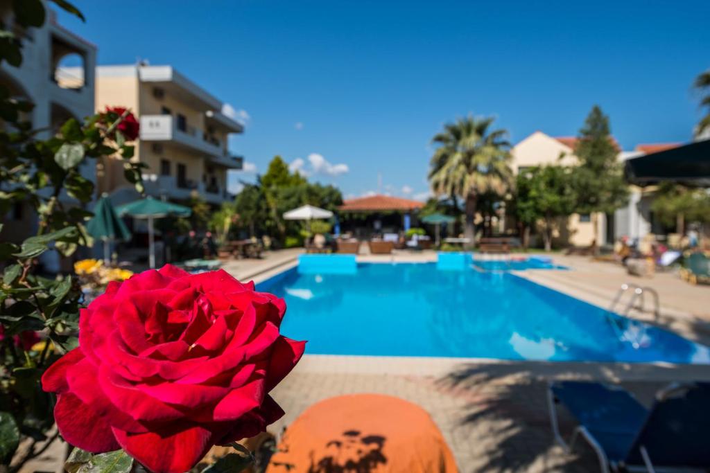 スイミングプール