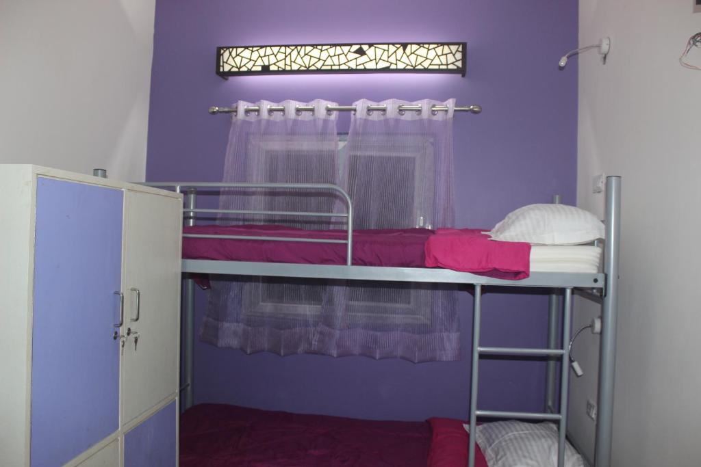 Joeys Hostel photo