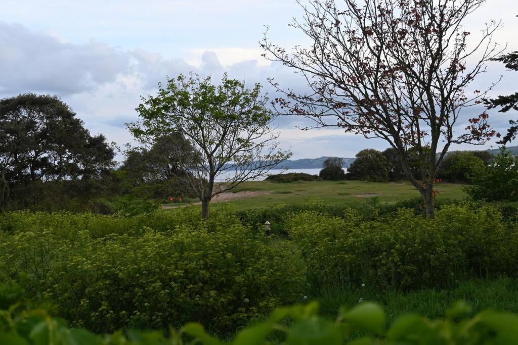 Seaside, Exmouth Centre photo 8