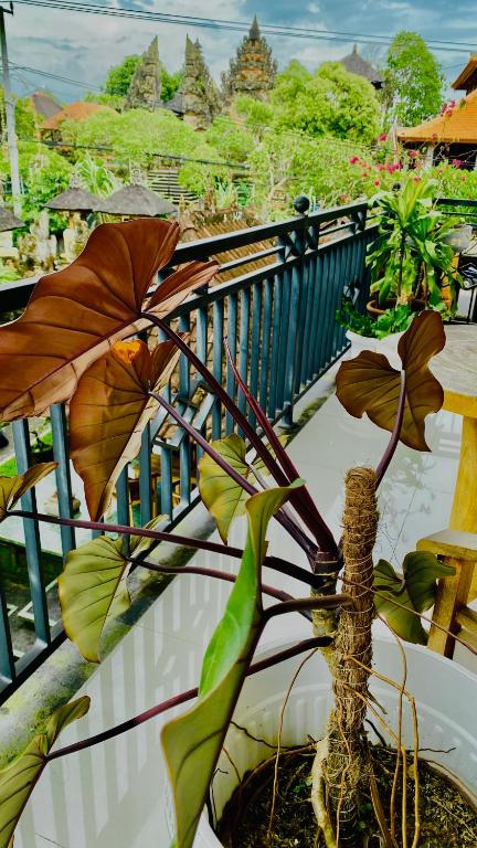 Wina Ubud B&B photo