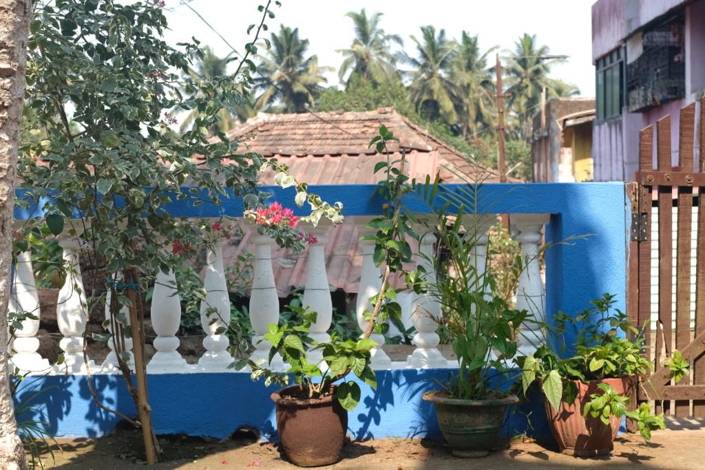 Villa Khatun Guesthouse photo