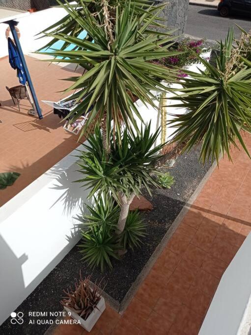 Casa en Playa Blanca con piscina privada y cerca de Marina Rubicón - 4
