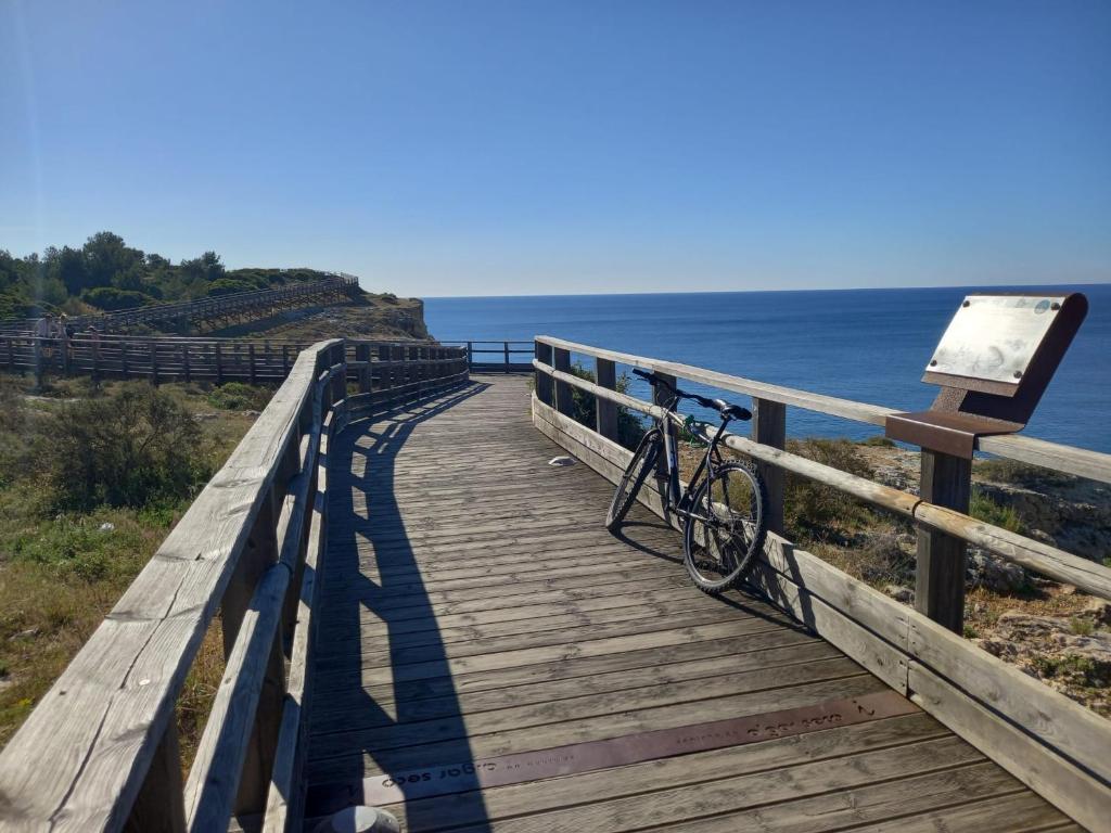 Surrounding environment