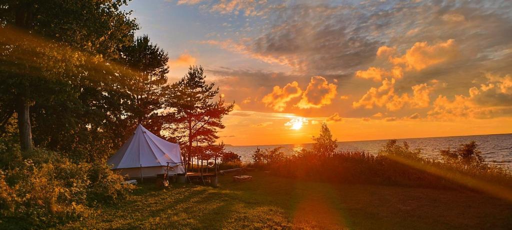 Mereaare Glamping ja Rannamaja — Hotel in Narva