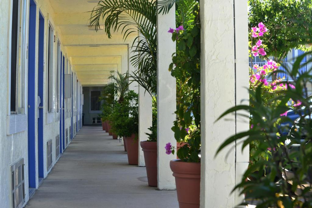 アメリカズ ベスト バリュー イン ブレイデントン サラソタ (Americas Best Value Inn Bradenton Sarasota)