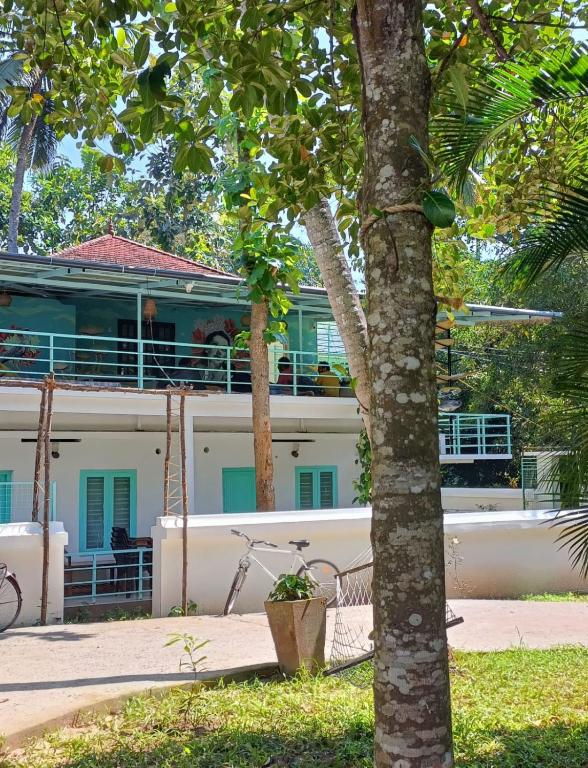Molly's Hostel — Hotel in Varkala