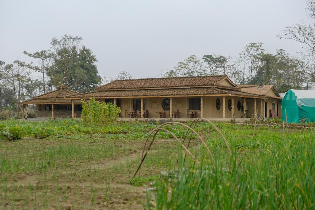 Tharu Community Lodge photo