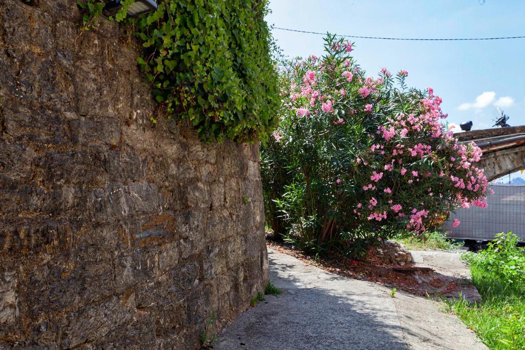 Casa Gretemma - 5