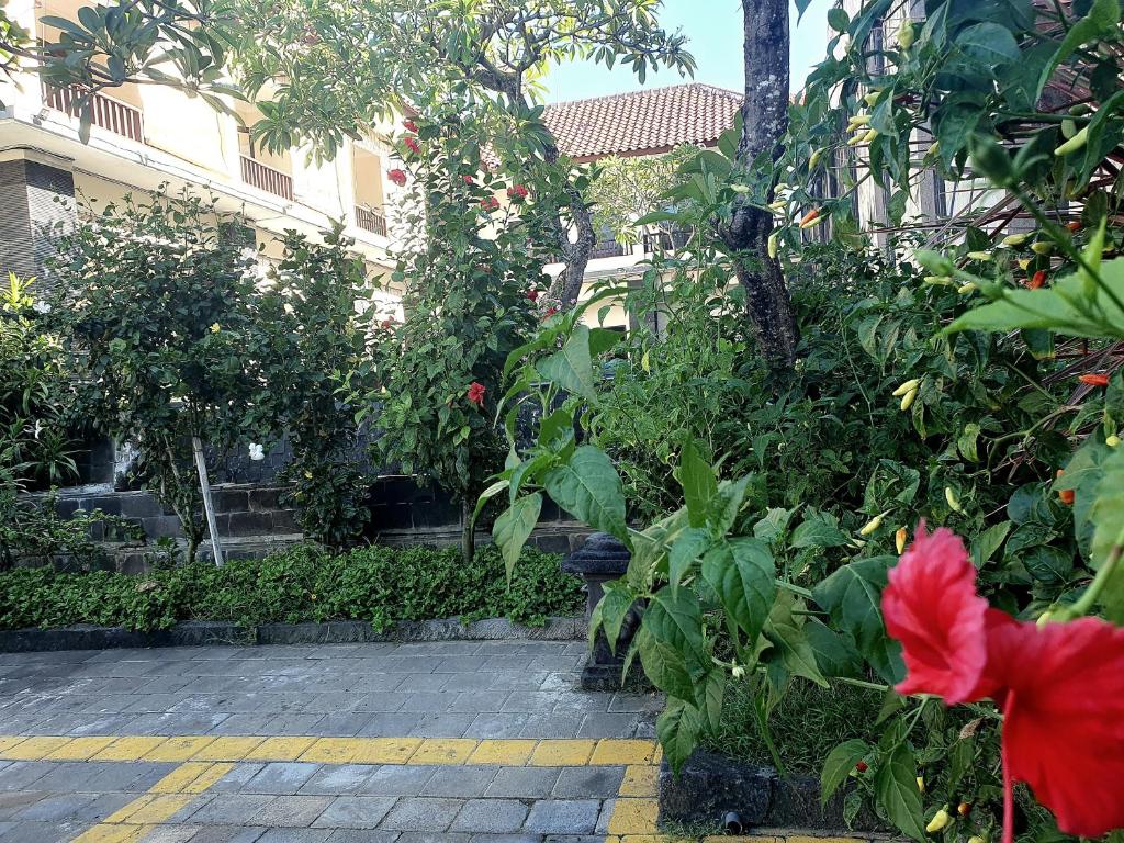 花園
