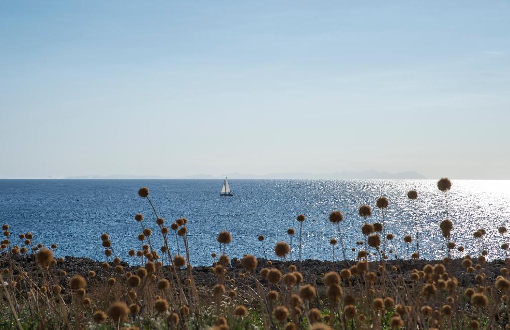 Pierre & Vacances Menorca Cala Blanes photo