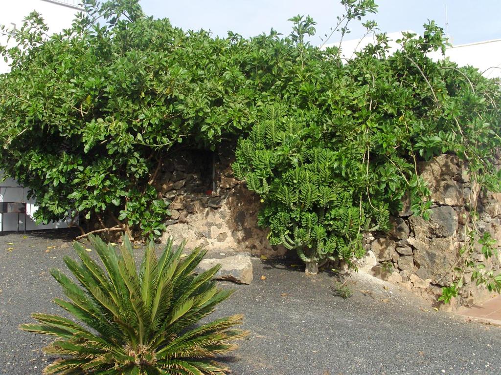 CASA LA TAHONILLA - 3