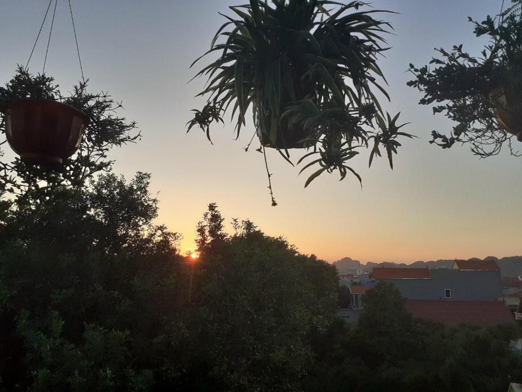 Tam Coc Sunset Homestay