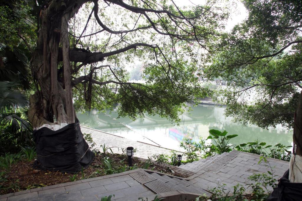 Surrounding environment