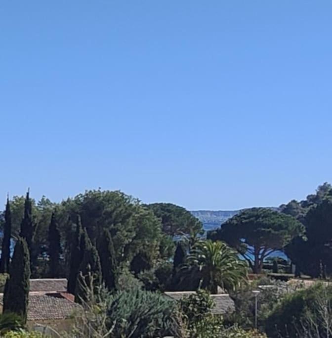 Appartement à Pramousquier Le Lavandou - 4