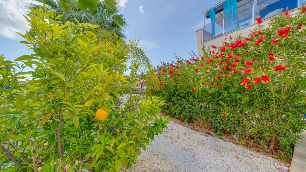 VILLA FINESTRAT - 3