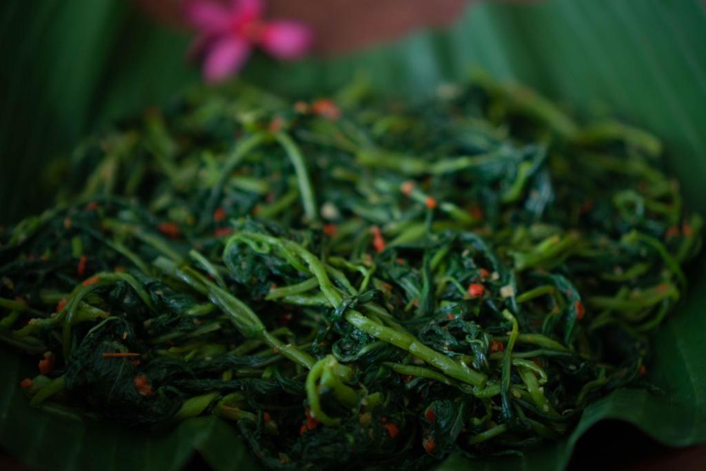 お料理のイメージ