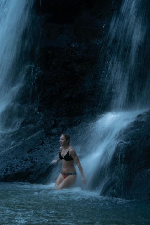 アクティビティ