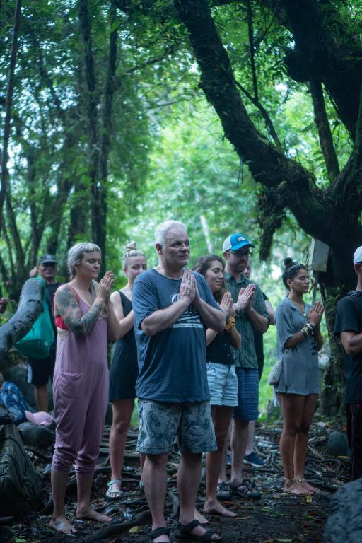 アクティビティ