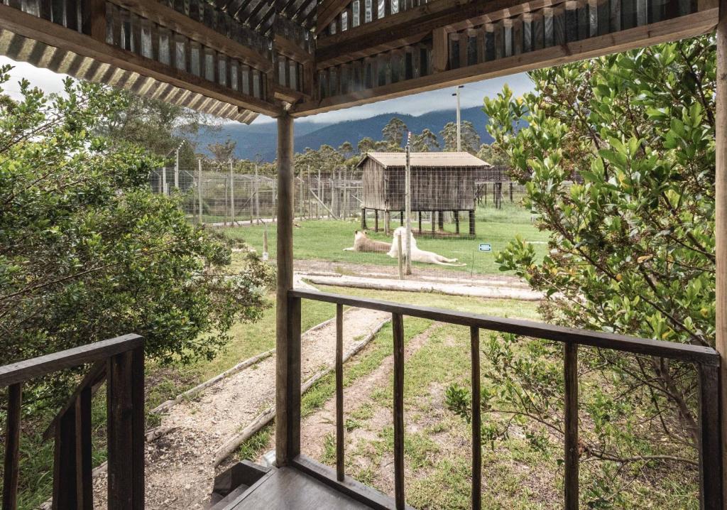 Tenikwa Wildlife Centre photo