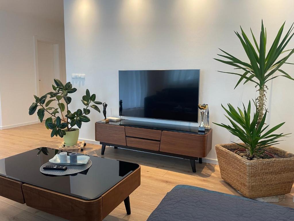 Beautiful modern apartment with large livingroom - 4