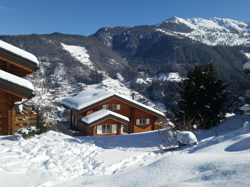 Chalet le Fauconnier - 4