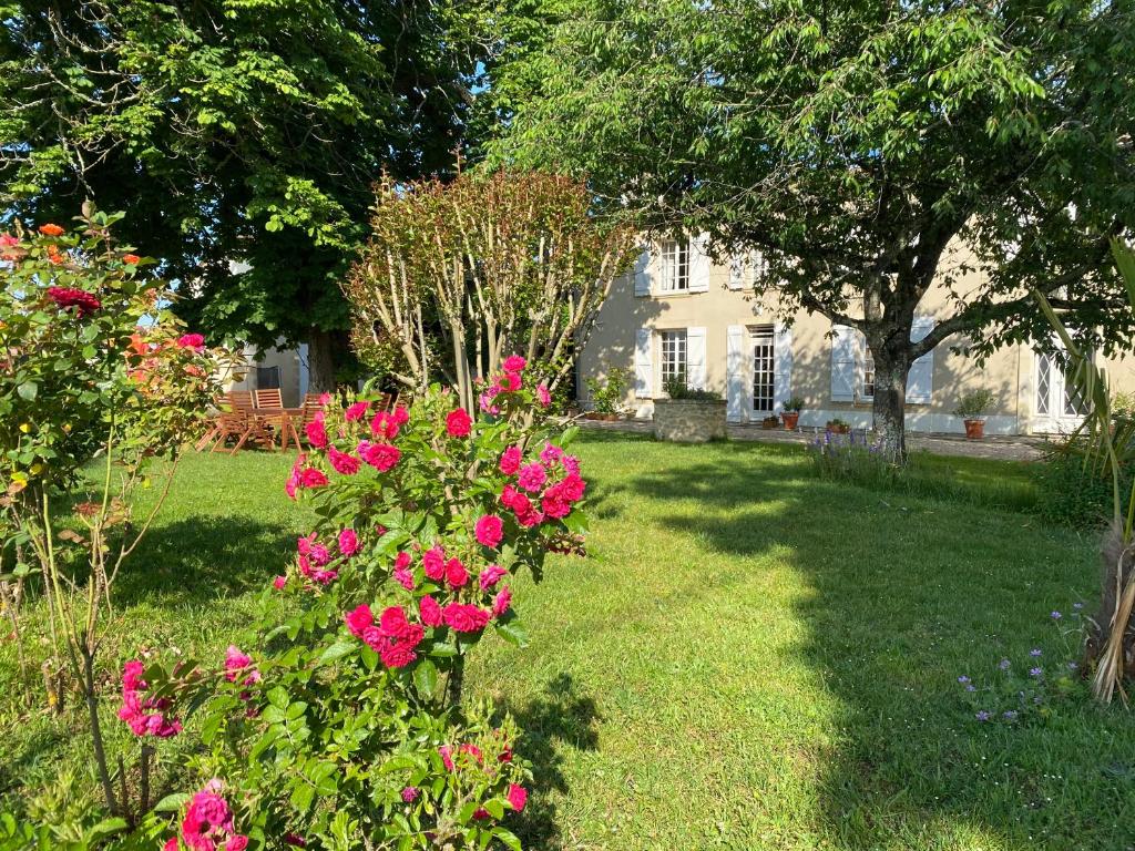 Le Jardin dans les vignes photo