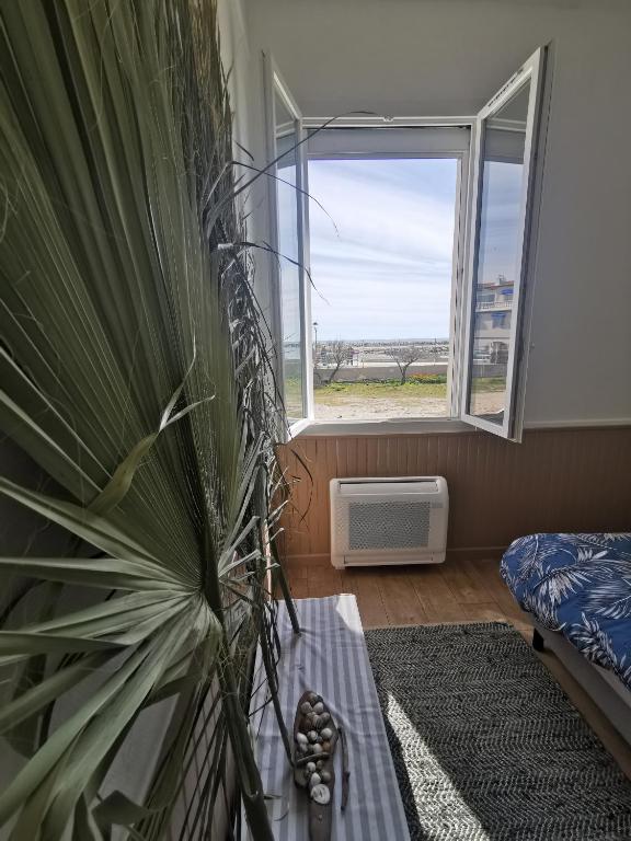 SPACIEUX APPARTEMENT FRONT DE MER - 4