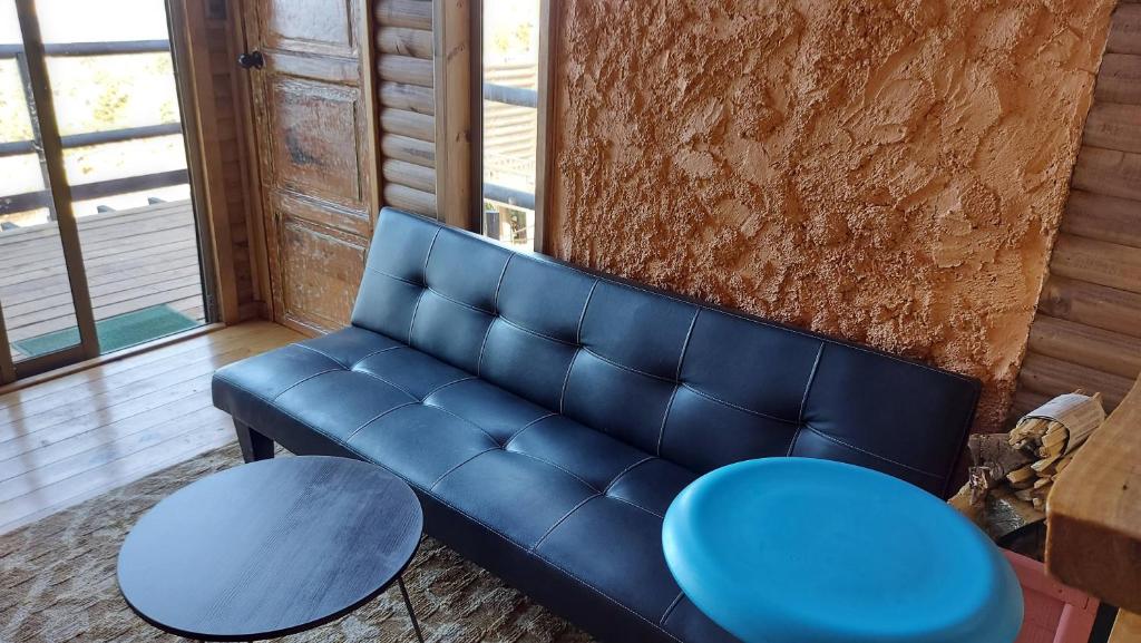 Cabañas & SPA Carilafquen - 4