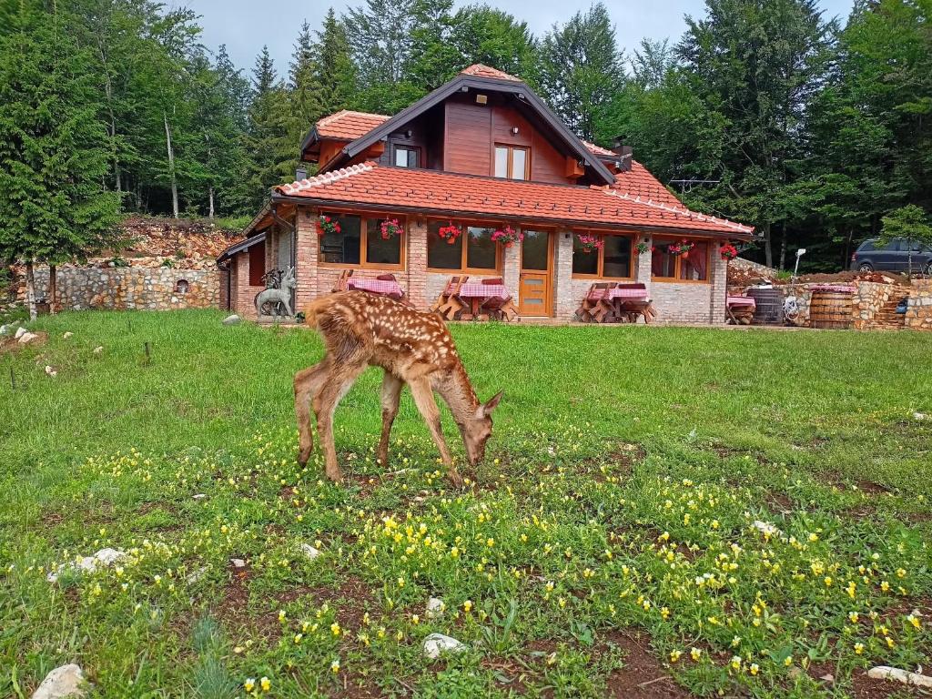 Kod Popaja, Bajina Bašta