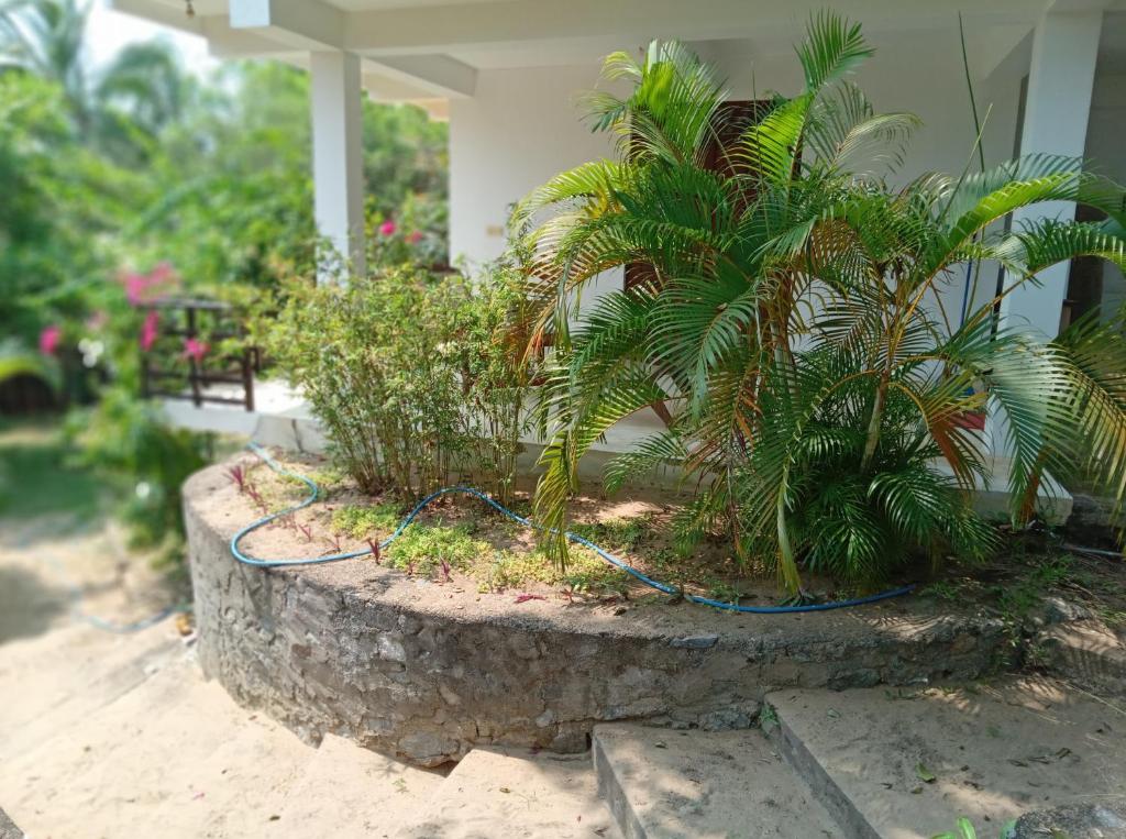 East Surf Cabanas photo