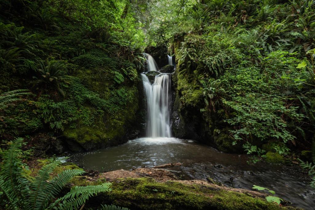 Taylor Creek Lodge — Hotel in Gold Beach (OR)