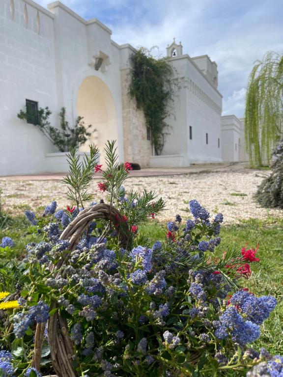 Masseria Almadava - 2