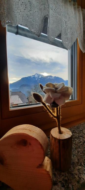 Archehof Eislbauer - Deine Ladezone fur die Seele! photo