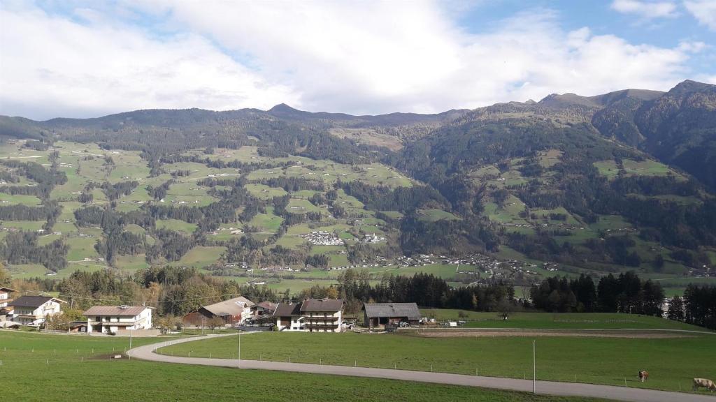 Ferienwohnung Birkenheim - 5